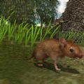 真实老鼠生存模拟器2022