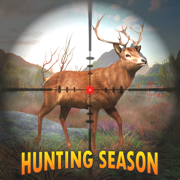 真正鹿狩猎季节