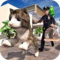 非常宠物猫模拟器游戏