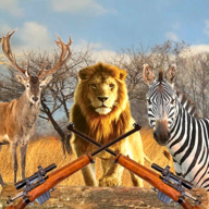 非洲丛林狩猎2024