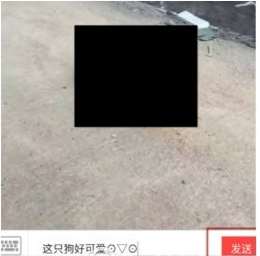 《闲鱼》给卖家留言方法说明