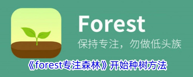 《forest专注森林》开始种树方法