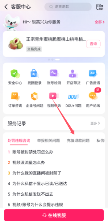 抖音充值退款怎么申请