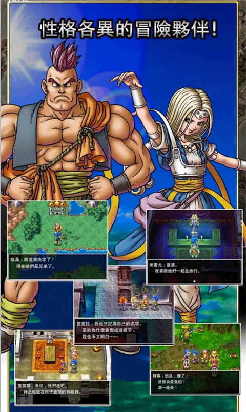 勇者斗恶龙6幻之大地中文版