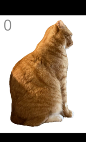 给猫梳毛模拟器修改版
